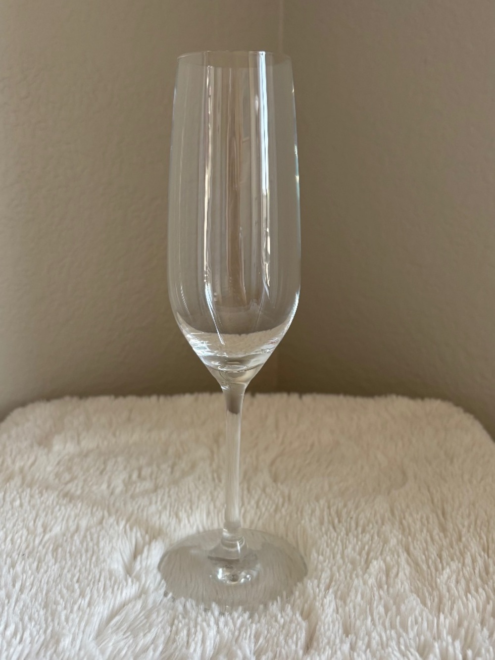 Schott Zwiesel Champagne Flute Glass Clear